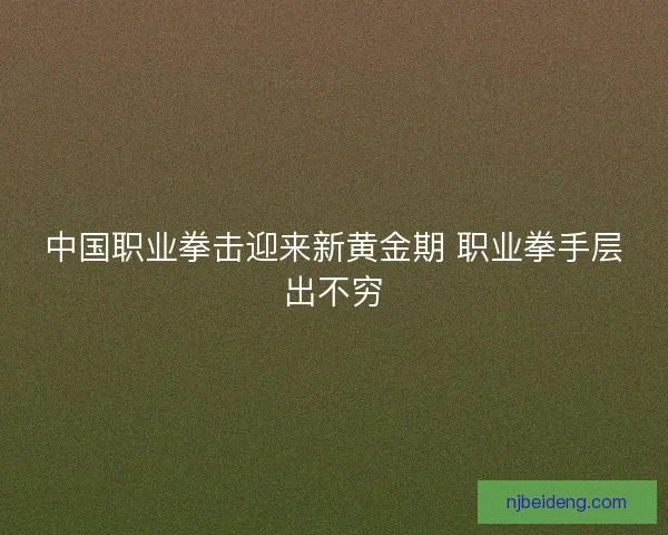 中国职业拳击迎来新黄金期 职业拳手层出不穷