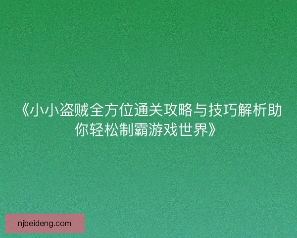 《小小盗贼全方位通关攻略与技巧解析助你轻松制霸游戏世界》
